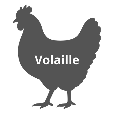 Volaille